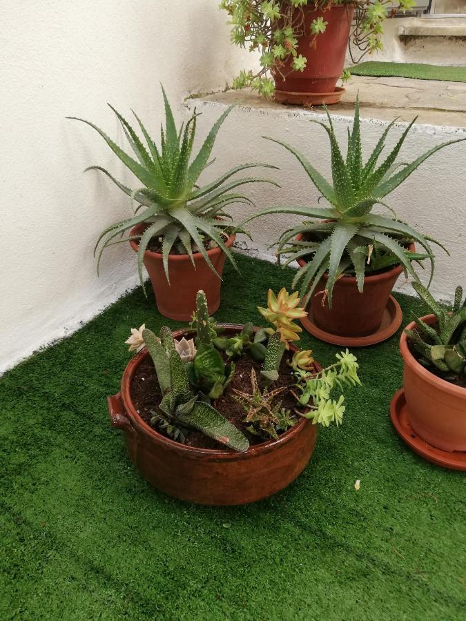 فولوس Relaxing Home! المظهر الخارجي الصورة